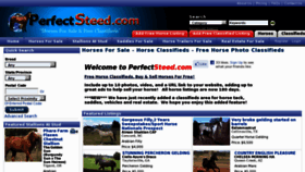 What Perfectsteed.com website looked like in 2011 (13 years ago)