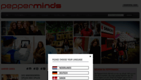 What Pepperminds.nl website looked like in 2015 (8 years ago)