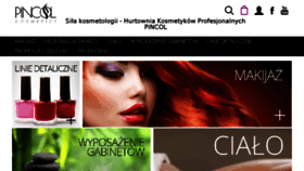 What Pincol.pl website looked like in 2015 (8 years ago)