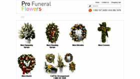 What Profuneralflowers.com website looked like in 2015 (8 years ago)