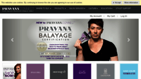 What Pravanapro.com website looked like in 2016 (8 years ago)