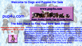 What Pup4u.com website looked like in 2016 (8 years ago)