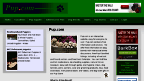 What Pup.com website looked like in 2016 (8 years ago)