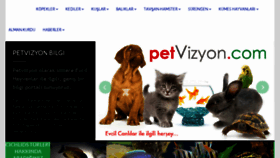 What Petvizyon.com website looked like in 2016 (8 years ago)