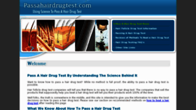 What Passahairdrugtest.com website looked like in 2016 (8 years ago)