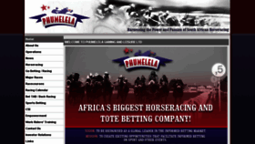 What Phumelela.com website looked like in 2016 (8 years ago)