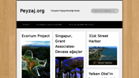 What Peyzaj.org website looked like in 2016 (8 years ago)
