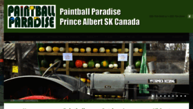 What Paintballpa.com website looked like in 2016 (8 years ago)