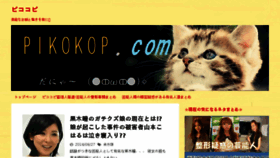 What Pikokopi.com website looked like in 2016 (7 years ago)