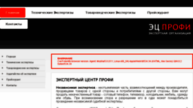 What Profiexp.ru website looked like in 2016 (7 years ago)