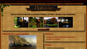 What Polinow.pl website looked like in 2016 (7 years ago)
