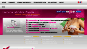 What Pueraria.fr website looked like in 2016 (7 years ago)