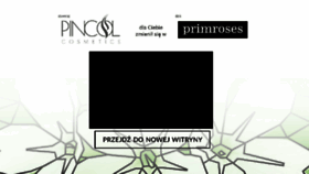 What Pincol.pl website looked like in 2016 (7 years ago)