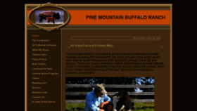 What Pmrbuffalo.com website looked like in 2016 (7 years ago)