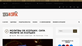 What Plett.ru website looked like in 2017 (7 years ago)