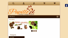 What Pupillo.pl website looked like in 2017 (7 years ago)