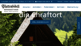 What Plattenboedeli.ch website looked like in 2017 (7 years ago)