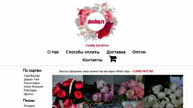 What Pionshop.ru website looked like in 2017 (7 years ago)