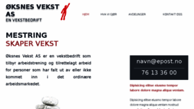 What Plastnett.no website looked like in 2017 (6 years ago)