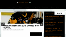 What Pittsburghpenguinselite.com website looked like in 2017 (7 years ago)