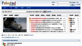 What Palmfad.com website looked like in 2011 (14 years ago)
