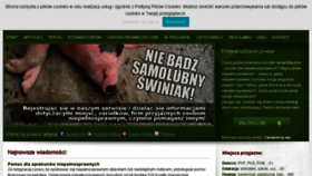 What Polskabezbarier.pl website looked like in 2017 (7 years ago)