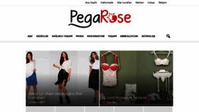 What Pegarose.com website looked like in 2017 (6 years ago)