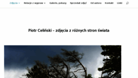 What Piotrcelinski.info website looked like in 2017 (6 years ago)