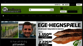 What P-lindberg.dk website looked like in 2017 (6 years ago)