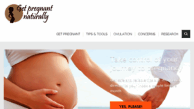 What Pregnant-naturally.com website looked like in 2017 (6 years ago)