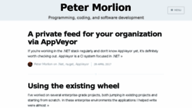 What Petermorlion.com website looked like in 2017 (6 years ago)