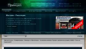 What Princip58.ru website looked like in 2017 (8 years ago)