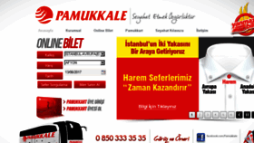 What Pamukkaleturizm.com.tr website looked like in 2017 (6 years ago)