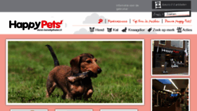 What Pawsandpresents.com website looked like in 2017 (6 years ago)