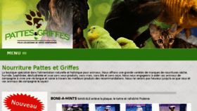 What Pattesgriffes.com website looked like in 2017 (6 years ago)