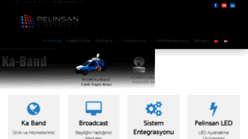 What Pelinsan.com website looked like in 2017 (6 years ago)
