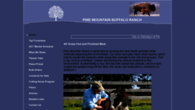 What Pmrbuffalo.com website looked like in 2017 (6 years ago)