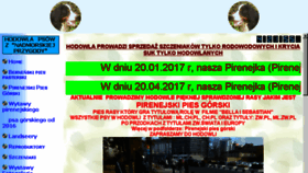 What Pirenejskipies.pl website looked like in 2017 (7 years ago)