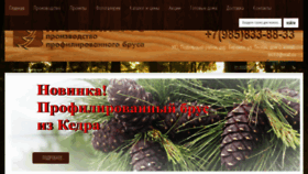 What Profilibrus.ru website looked like in 2017 (6 years ago)