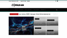 What Populerakim.com website looked like in 2017 (6 years ago)