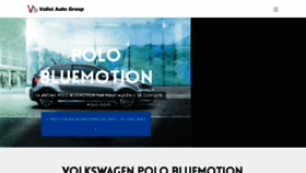 What Polo-bluemotion.nl website looked like in 2017 (6 years ago)