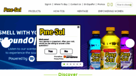 What Pine-sol.com website looked like in 2017 (6 years ago)