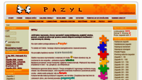 What Pazyl.pl website looked like in 2017 (6 years ago)