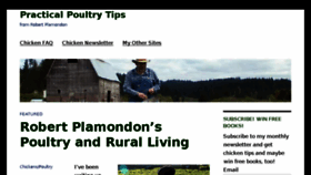 What Plamondon.com website looked like in 2017 (6 years ago)