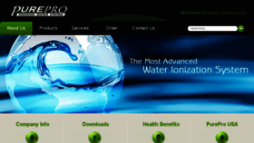 What Pureproionizers.com website looked like in 2017 (6 years ago)