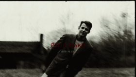 What Peterbeard.com website looked like in 2017 (7 years ago)