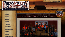 What Pheasantcity.com website looked like in 2017 (6 years ago)