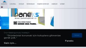 What Panekspanel.com website looked like in 2017 (6 years ago)
