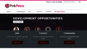 What Pinkpetro.com website looked like in 2017 (6 years ago)