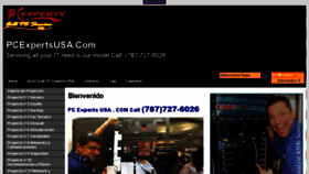 What Pcexpertsusa.com website looked like in 2017 (6 years ago)